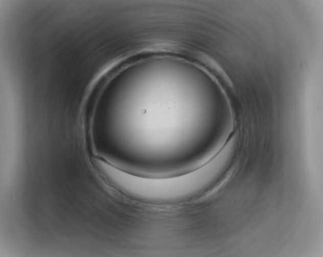 X0000113531114200909250900