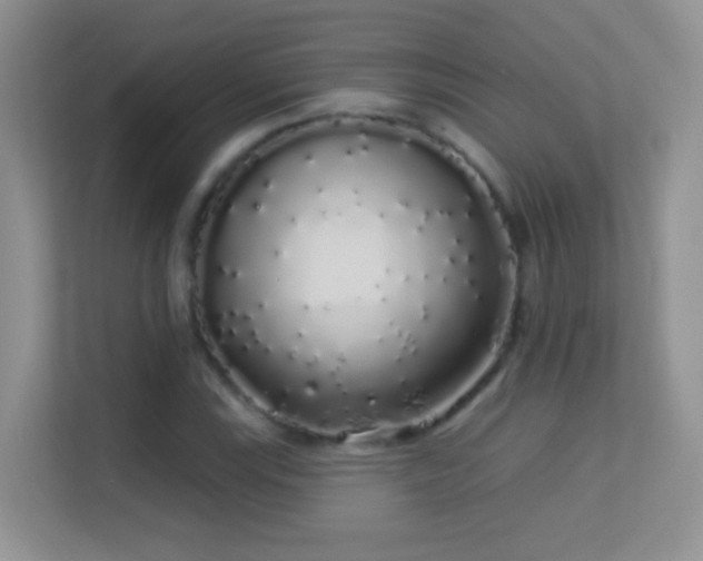 X0000113531115200909250900
