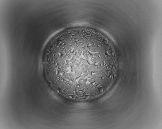 X0000113531117200909250900