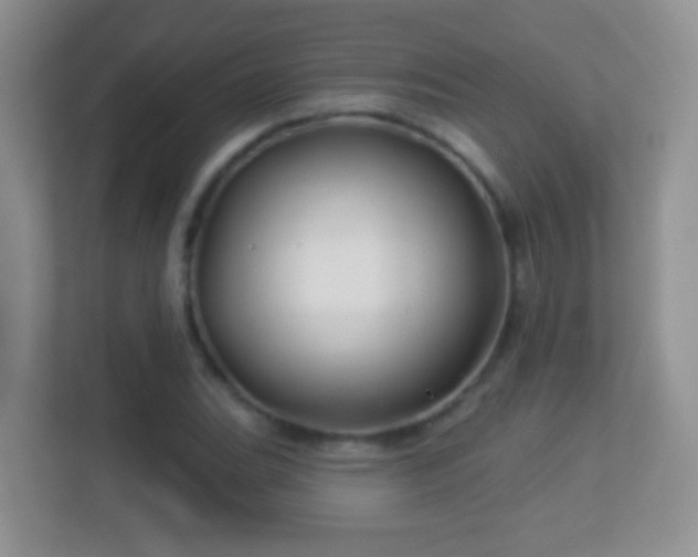 X0000113531119200909250900