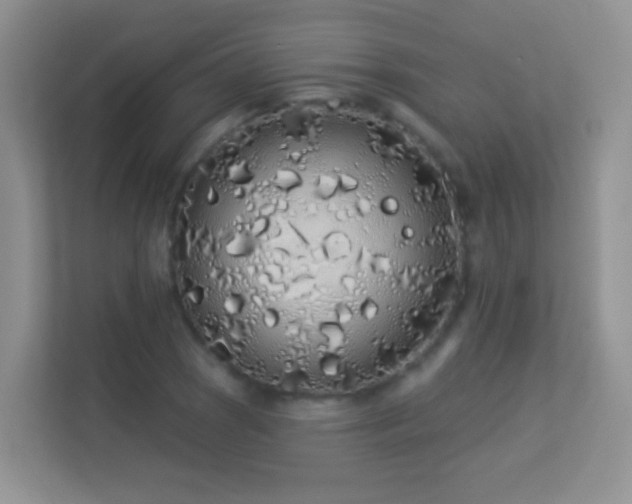 X0000113531121200909250900