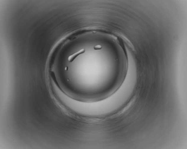 X0000113531122200909250900