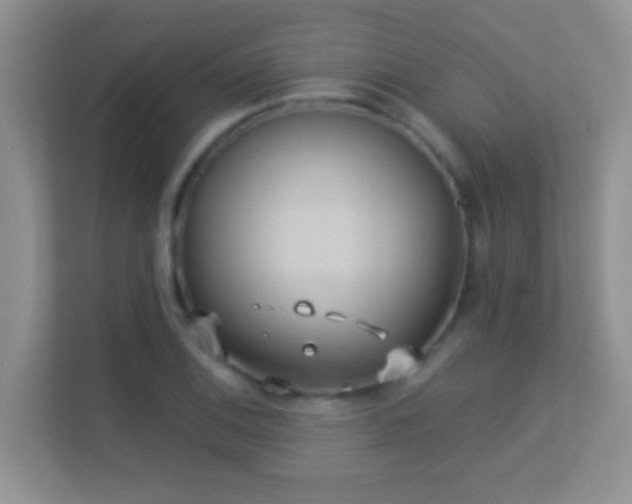 X0000113531124200909250900