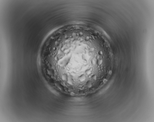 X0000113531125200909250900