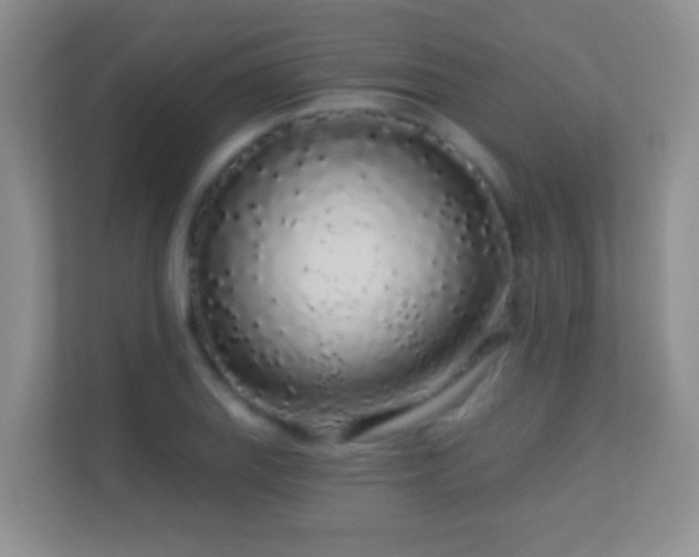 X0000113531127200909250900