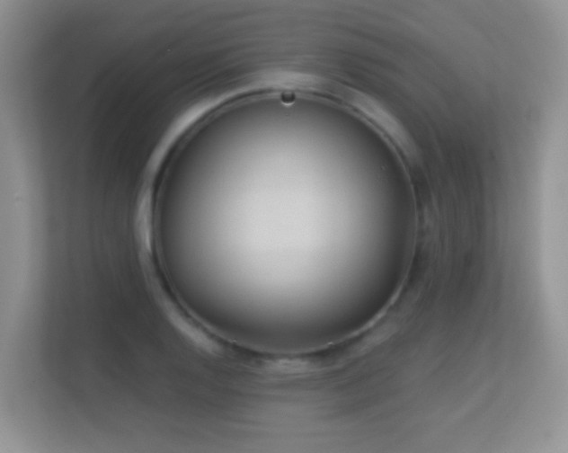 X0000113531128200909250900