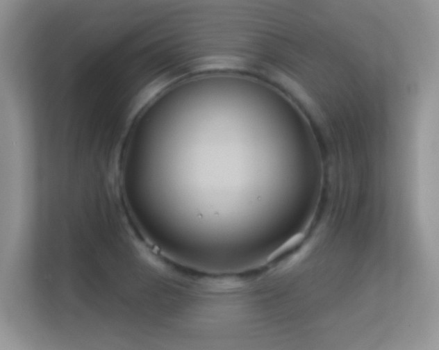 X0000113531129200909250900