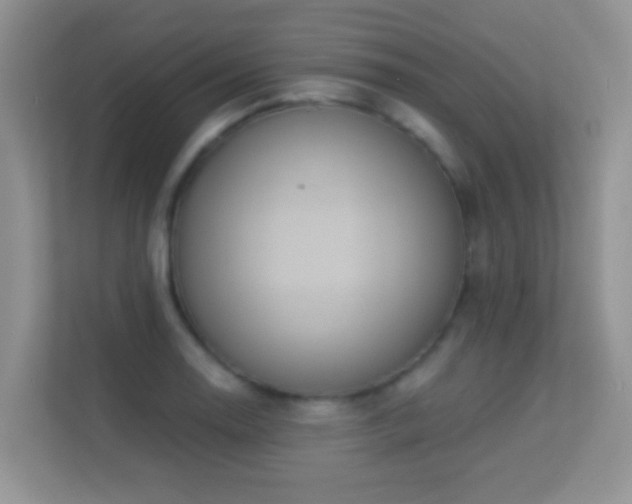 X0000113531130200909250900