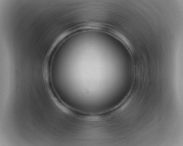X0000113531131200909250900