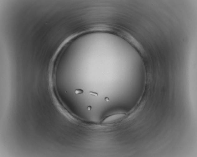 X0000113531132200909250900