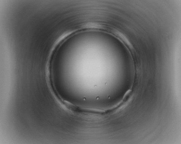 X0000113531133200909250900