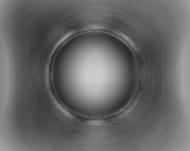 X0000113531134200909250900