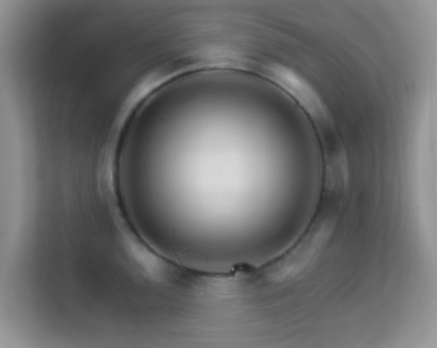 X0000113531136200909250900