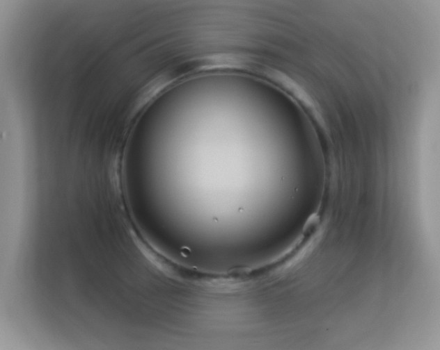 X0000113531137200909250900