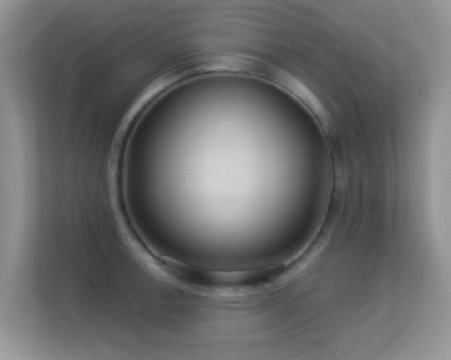 X0000113531138200909250900