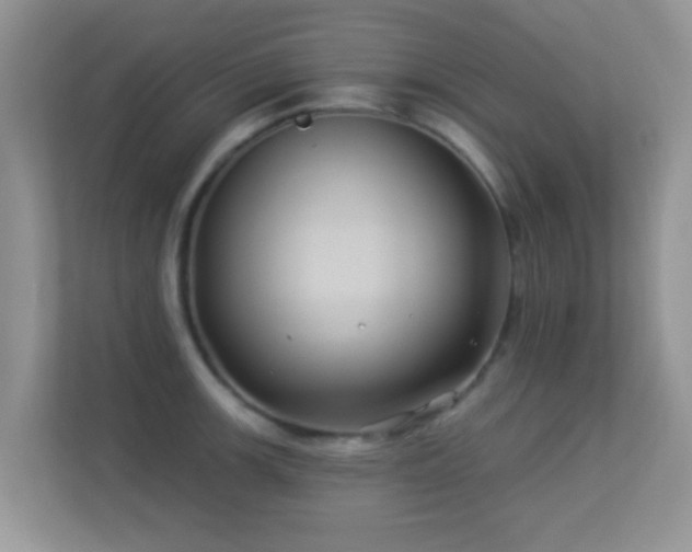 X0000113531139200909250901