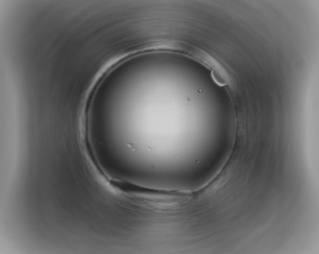 X0000113531140200909250901
