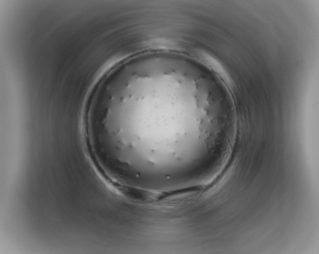 X0000113531141200909250901