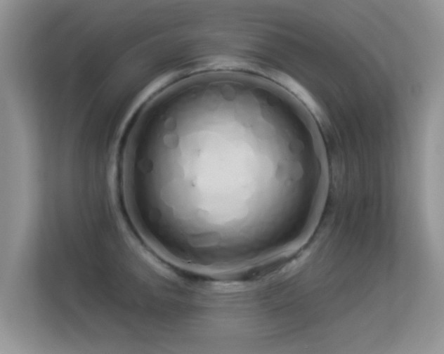 X0000113531142200909250901