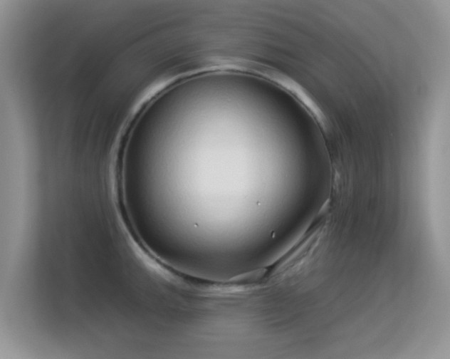 X0000113531143200909250901