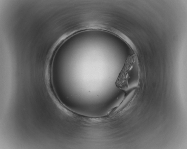 X0000113531144200909250901