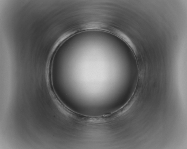 X0000113531146200909250901