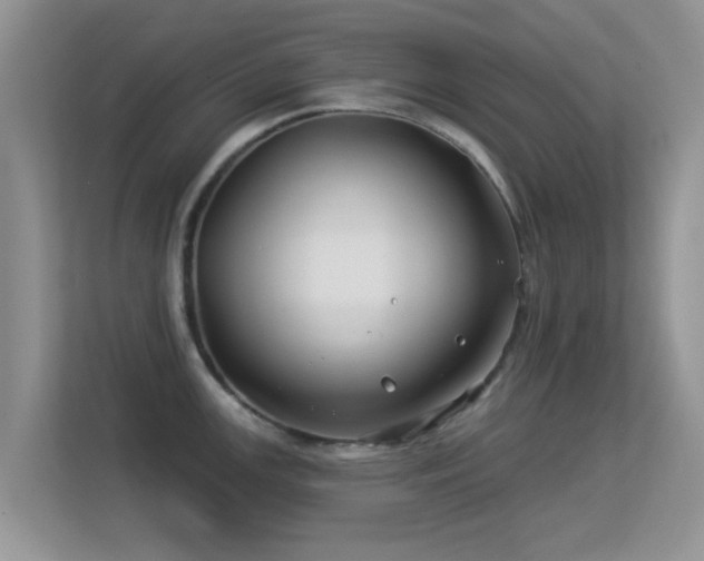 X0000113531147200909250901