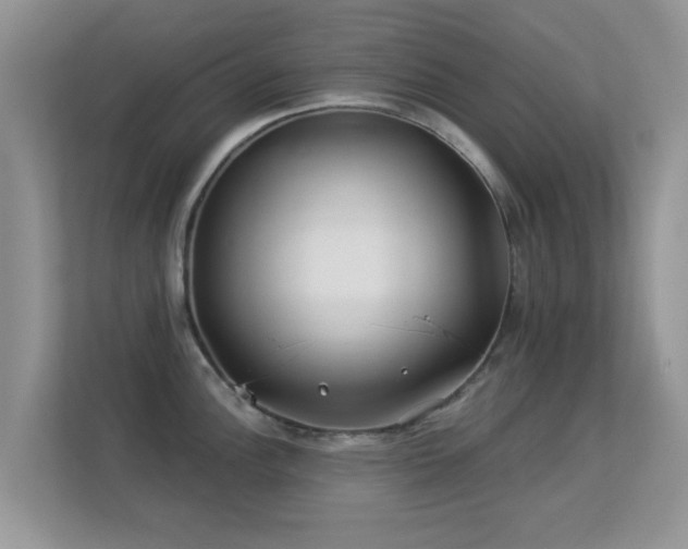 X0000113531148200909250901