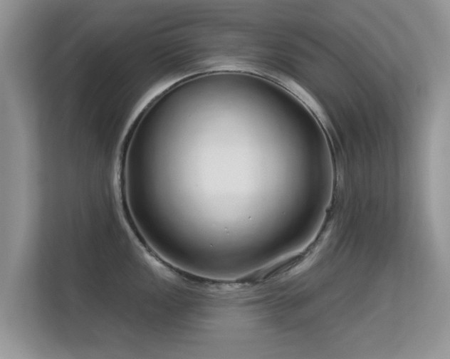 X0000113531149200909250901