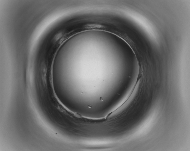 X0000113531151200909250901