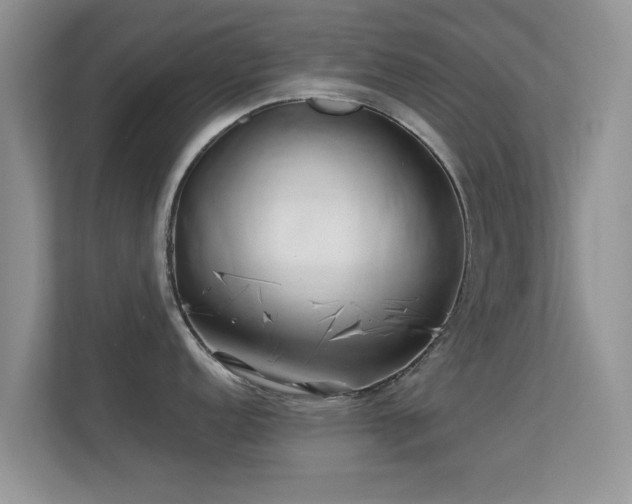 X0000113531152200909250901