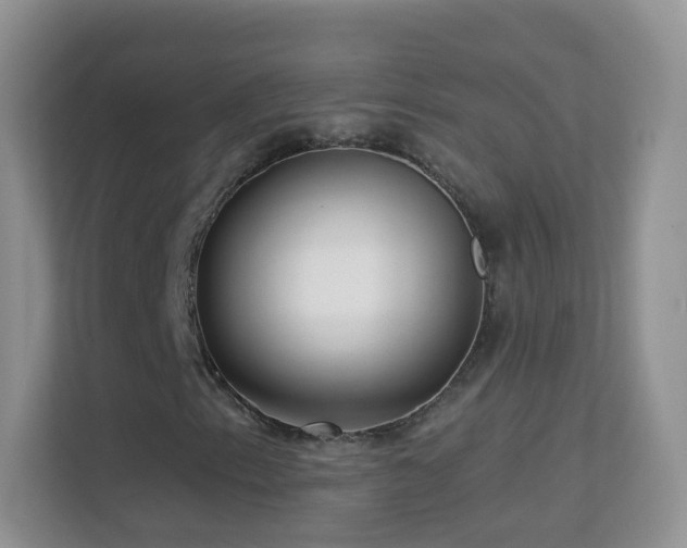 X0000113531153200909250900