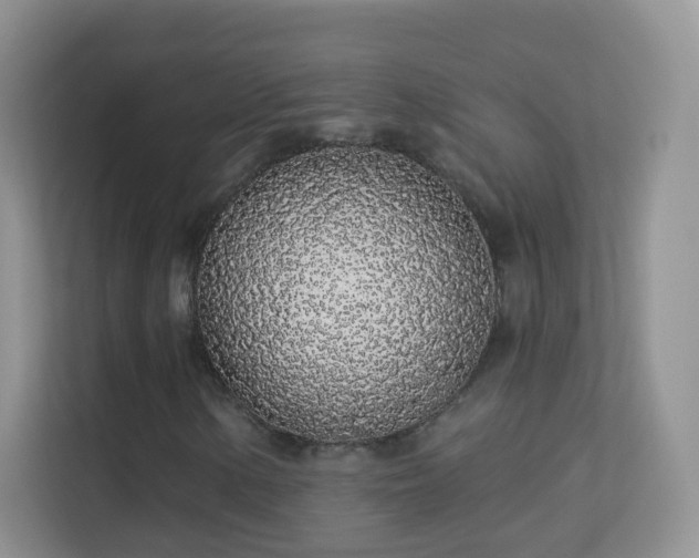 X0000113531154200909250900