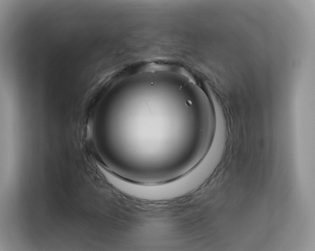 X0000113531157200909250900