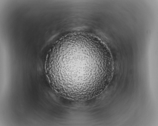X0000113531158200909250900