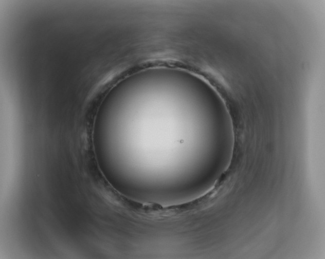 X0000113531159200909250900