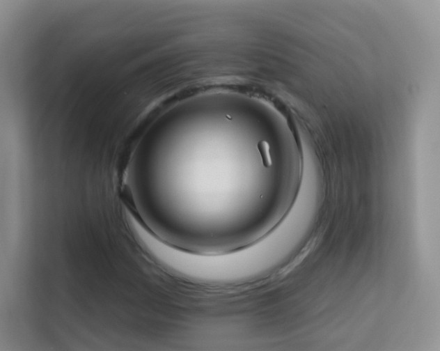 X0000113531161200909250900