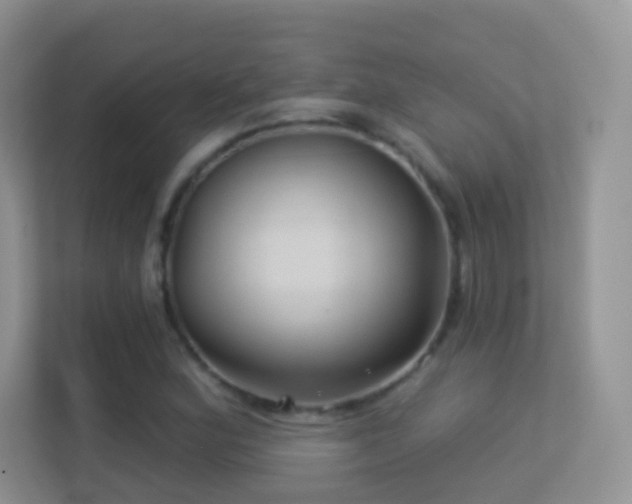 X0000113531164200909250900