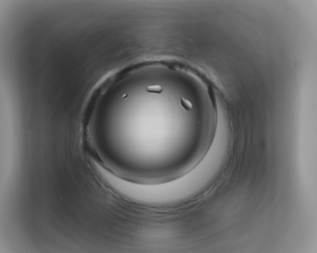 X0000113531165200909250900