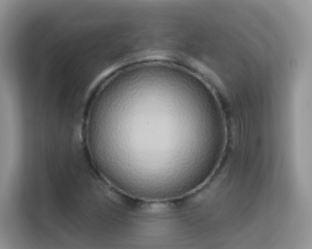 X0000113531166200909250900