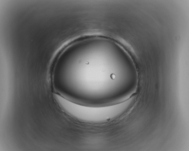 X0000113531167200909250900