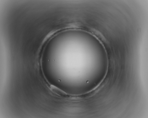 X0000113531168200909250900