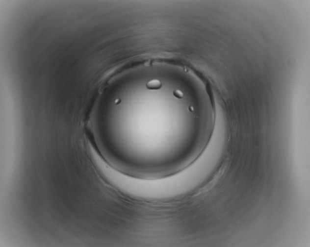 X0000113531169200909250900