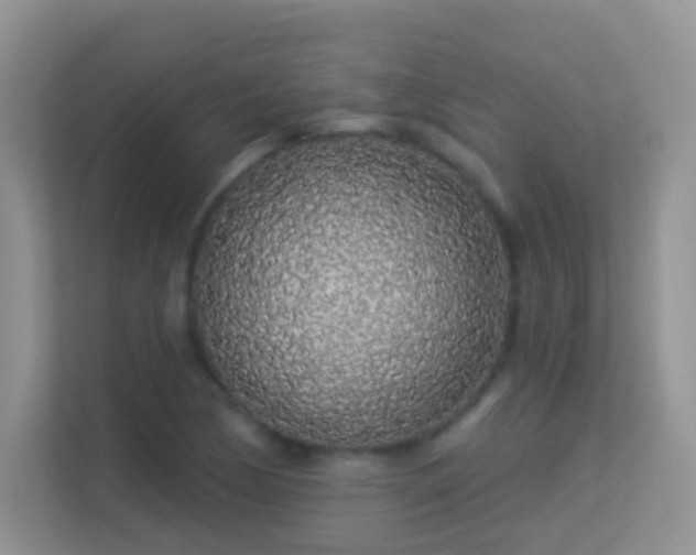 X0000113531170200909250900