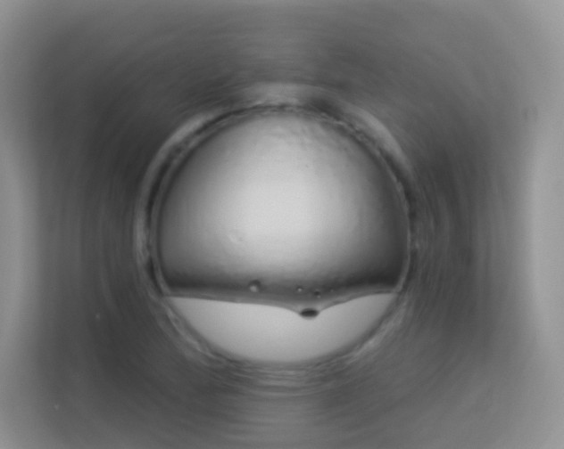 X0000113531172200909250900