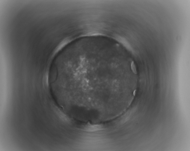 X0000113531173200909250900