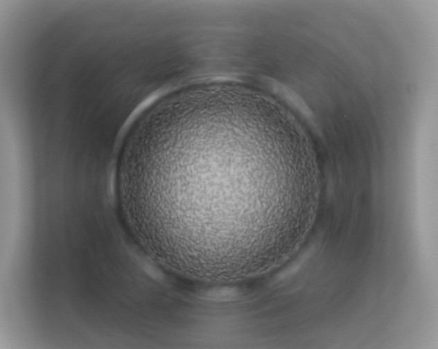X0000113531174200909250900