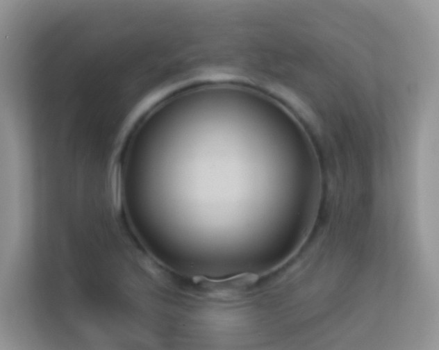 X0000113531175200909250900
