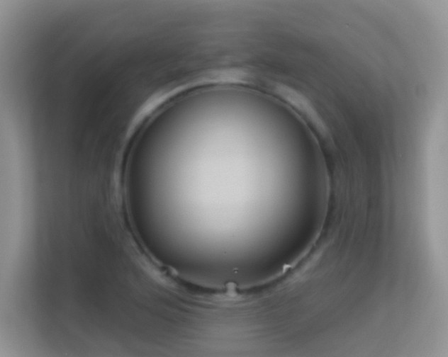 X0000113531176200909250900