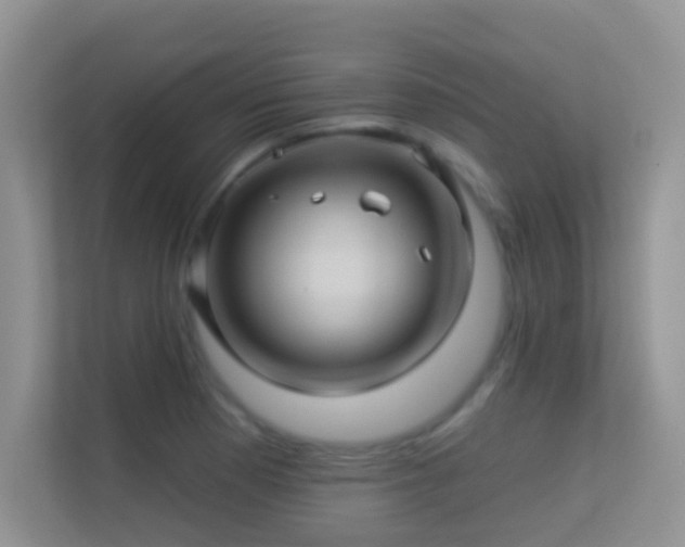 X0000113531177200909250900